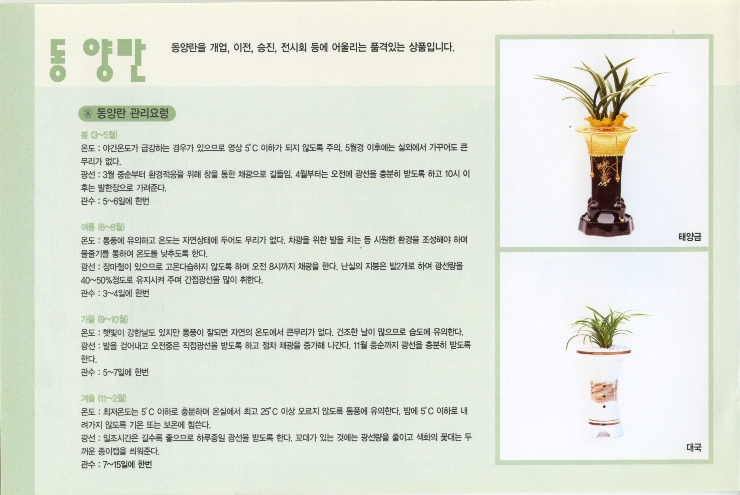 다인플라워 이미지