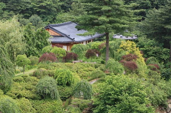 한국소나무집 이미지