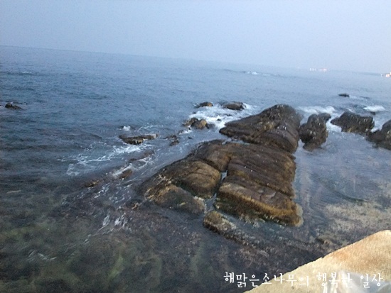 태영회센터 이미지