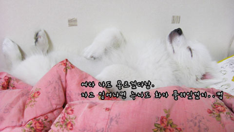 꼬리벼리 이미지