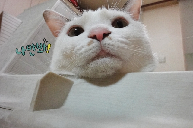 꾸름 이미지
