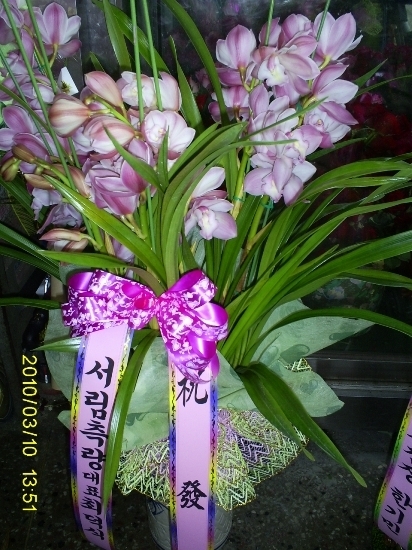 제일서림 이미지