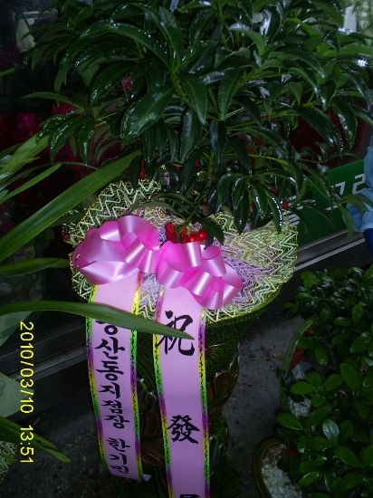 제일서림 이미지