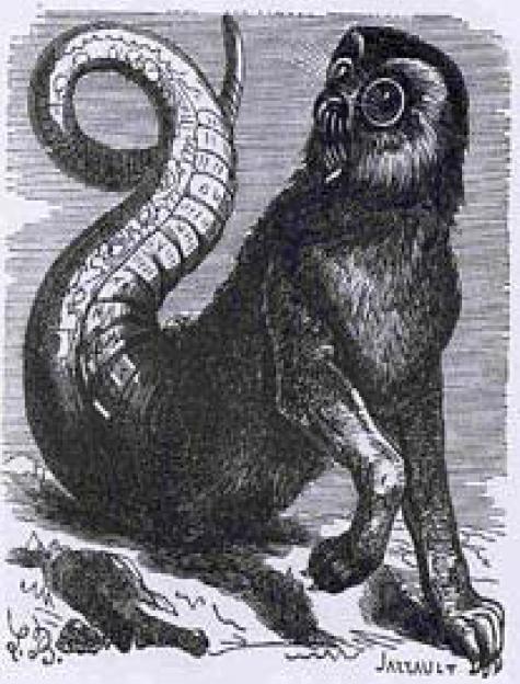 고에티아 (Goetia) 이미지
