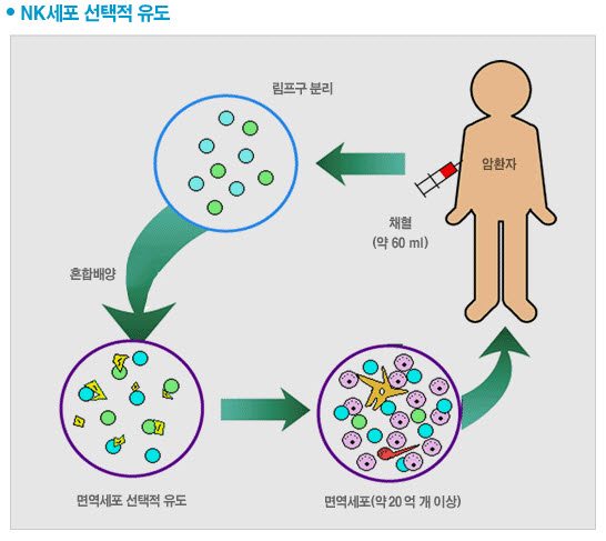 엔케이바이오 이미지