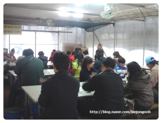 세린여행사 이미지