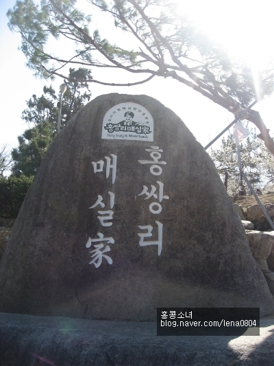 심씨농원 이미지