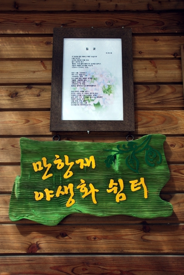 강원화원 이미지