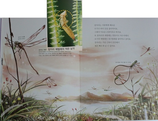 영학식품 이미지