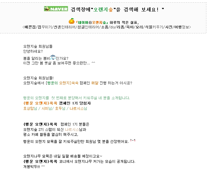 이벤트오렌지나무 이미지