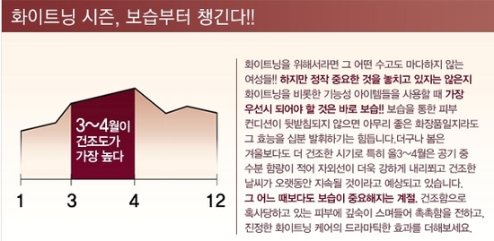 토탈플라워 이미지