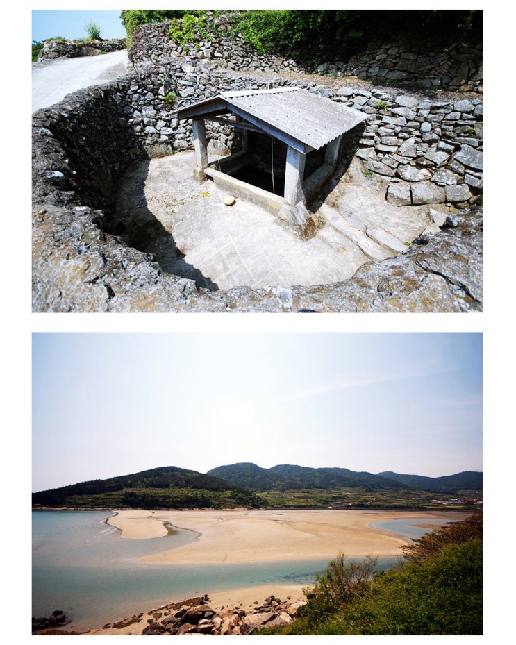 신흥자전거 이미지