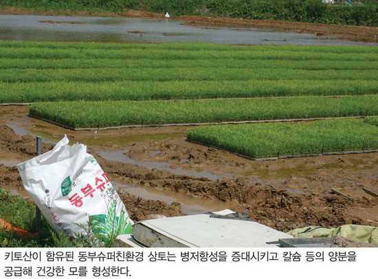 동부슈퍼 이미지
