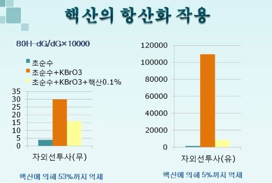 (주)핵산바이오 이미지