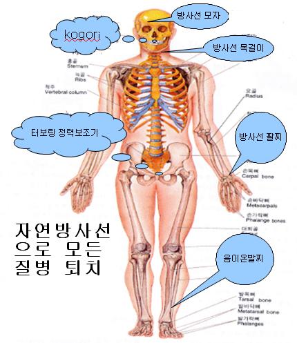 천하종합개발 주식회사 이미지