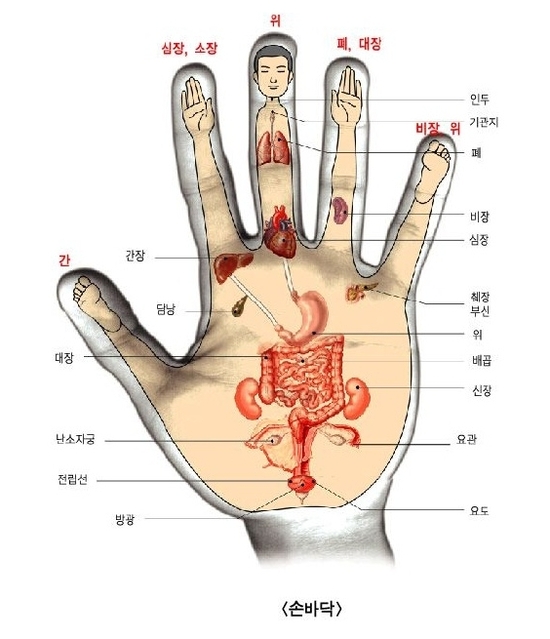 손끝발끝 이미지