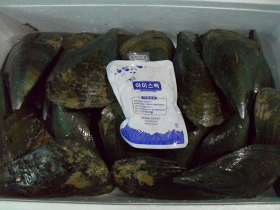 신춘식당 이미지