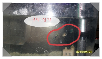 쏘리.빠리 이미지