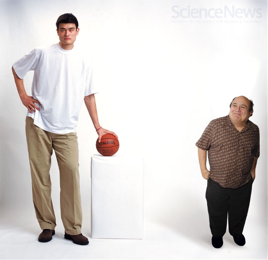 롱다리 이미지