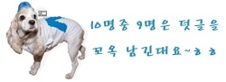 뽕뽕패션 이미지