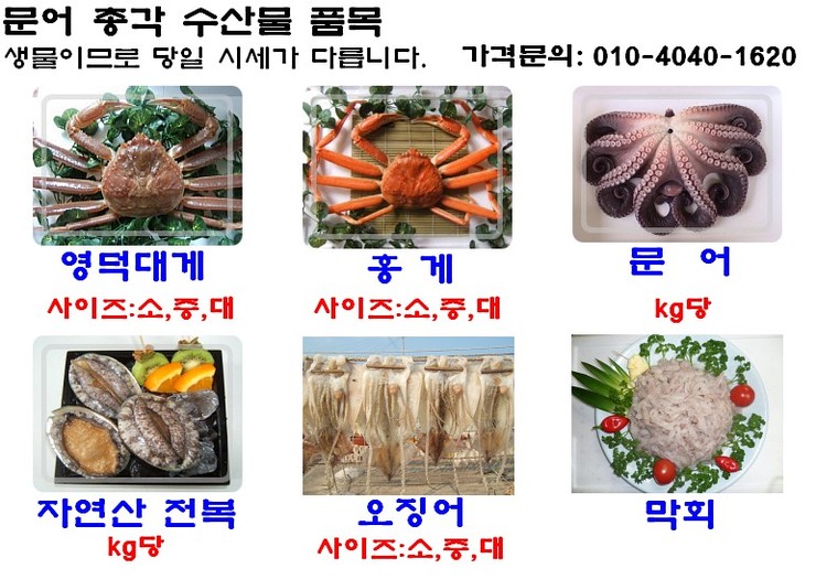 영덕 수산물 전복 이미지