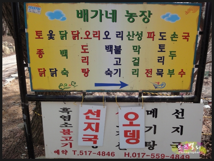 배가네농장 이미지