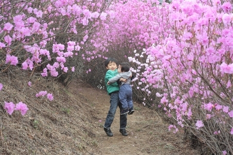 (주)효성 안양공장 이미지