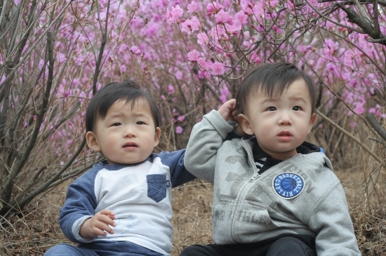 (주)효성 안양공장 이미지