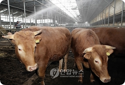 FUN구제 이미지
