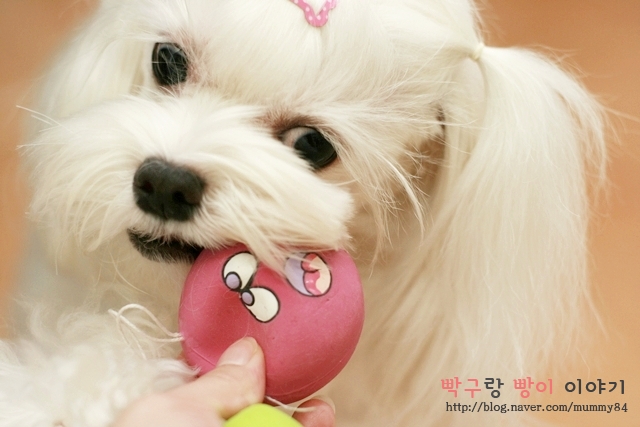 만득이 이미지
