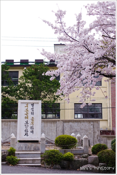 진해중학교 이미지