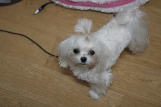 꾸름 이미지