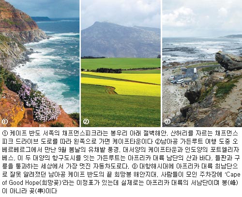 미스터로티 이미지
