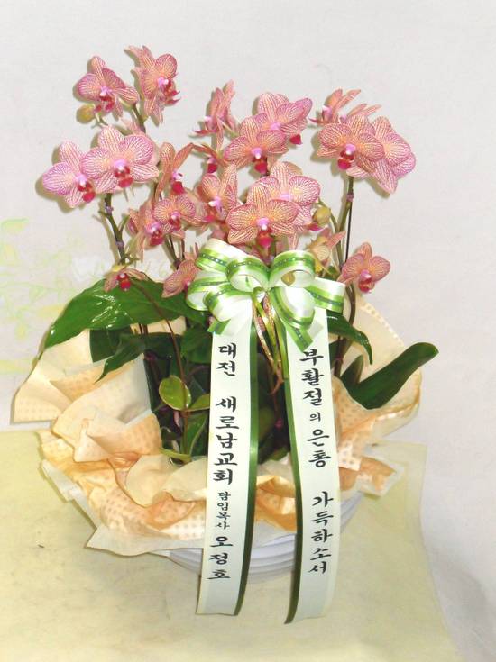 1004꽃집 이미지