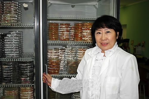 극동식품 이미지
