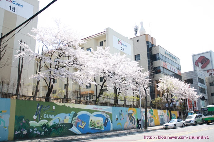 선희밥집 이미지