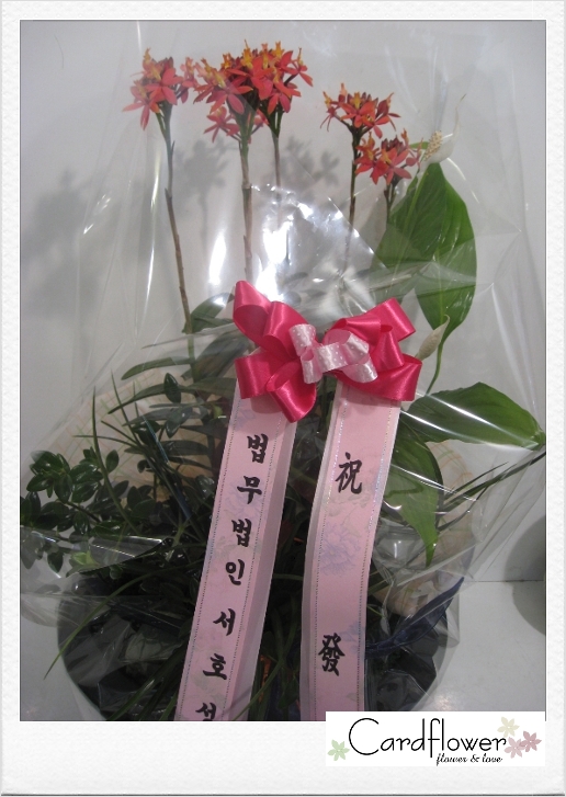 법무법인서호 이미지