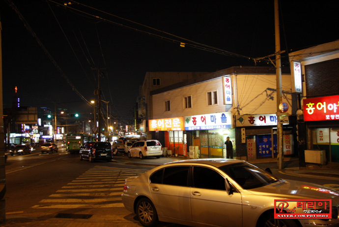 홍어야울지마라 이미지