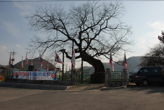 이목리(상) 이미지
