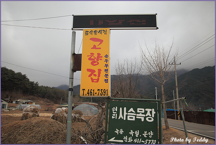 고향집 손두부 이미지