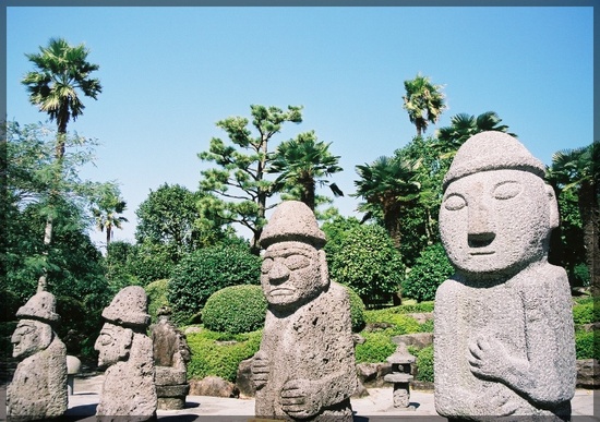 제주 야자원 이미지