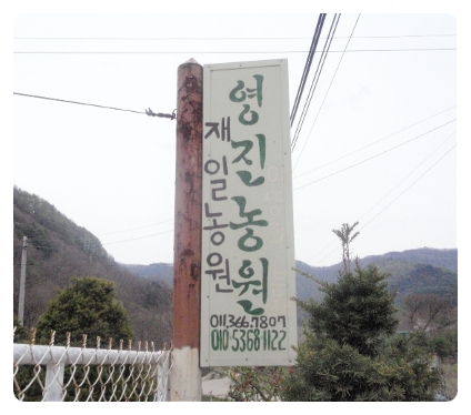 영진농원 이미지