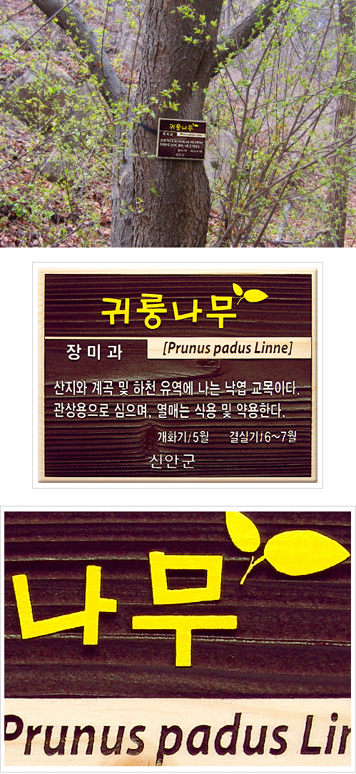 군내조경 이미지