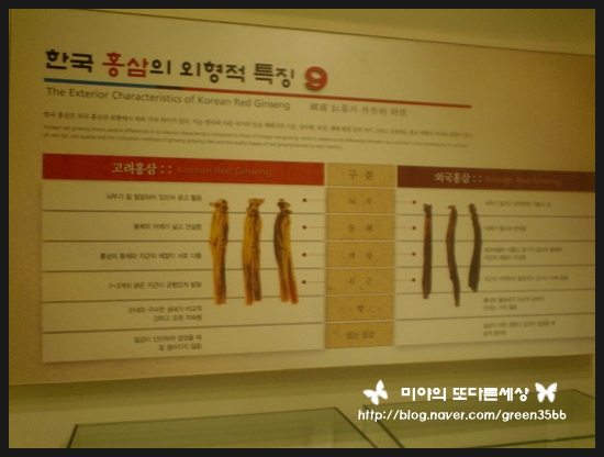 천삼음료 이미지