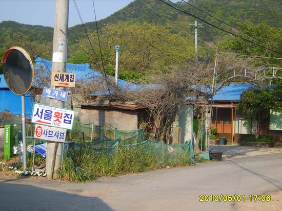 부산양지회 이미지