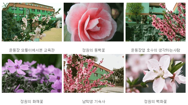 대동환경 이미지