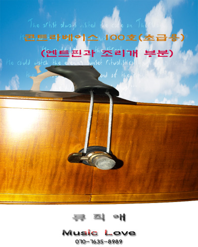 정현악기 이미지
