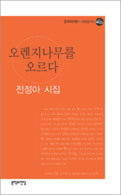 오렌지나무 이미지