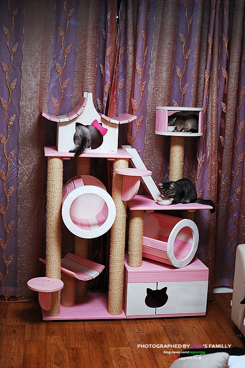 새아지트 이미지