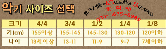 정현악기 이미지